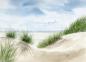 Preview: Postkarte DIN-A6  Düne im Sommer Aquarell Maritim Kunst Druck Kunstdruck Dänemark Nordsee Ostsee Dünen Meer Möwe Strand Amrum Sylt